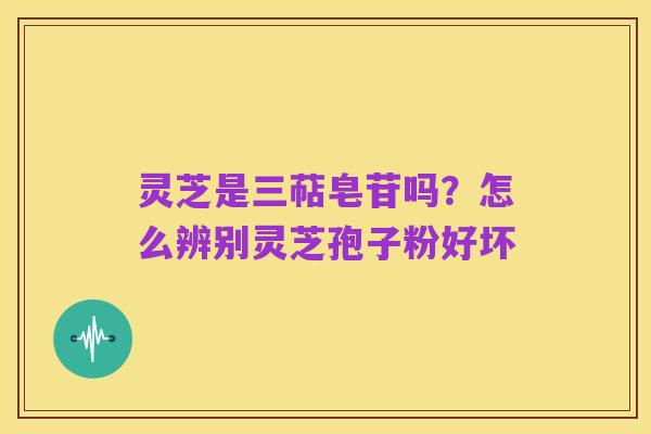灵芝是三萜皂苷吗？怎么辨别灵芝孢子粉好坏