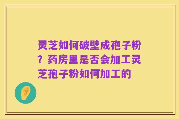 灵芝如何破壁成孢子粉？药房里是否会加工灵芝孢子粉如何加工的