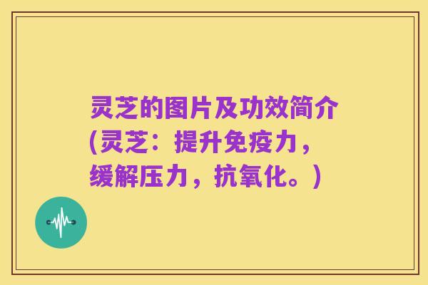 灵芝的图片及功效简介(灵芝:提升免疫力,缓解压力,抗氧化。)