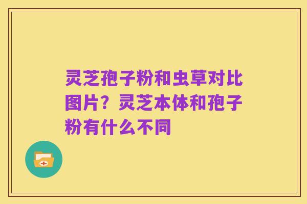 灵芝孢子粉和虫草对比图片?灵芝本体和孢子粉有什么不同