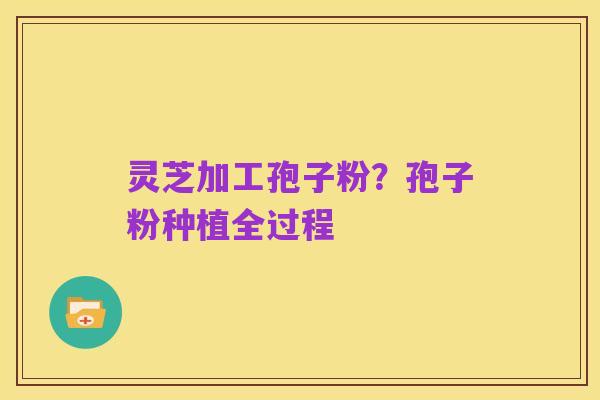 灵芝加工孢子粉?孢子粉种植全过程