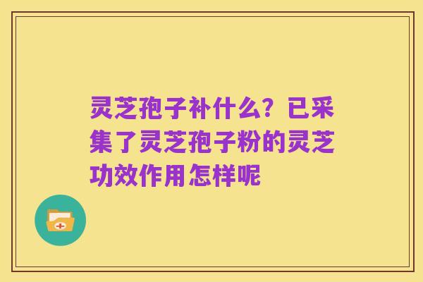 灵芝孢子补什么?已采集了灵芝孢子粉的灵芝功效作用怎样呢