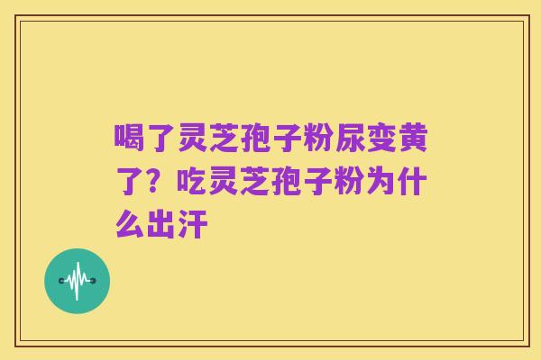 喝了灵芝孢子粉尿变黄了？吃灵芝孢子粉为什么出汗
