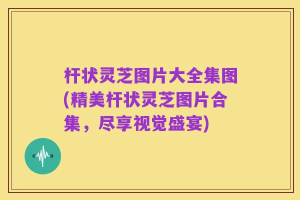杆状灵芝图片大全集图(精美杆状灵芝图片合集，尽享视觉盛宴)