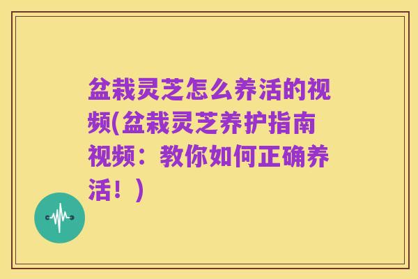 盆栽灵芝怎么养活的视频(盆栽灵芝养护指南视频:教你如何正确养活!)