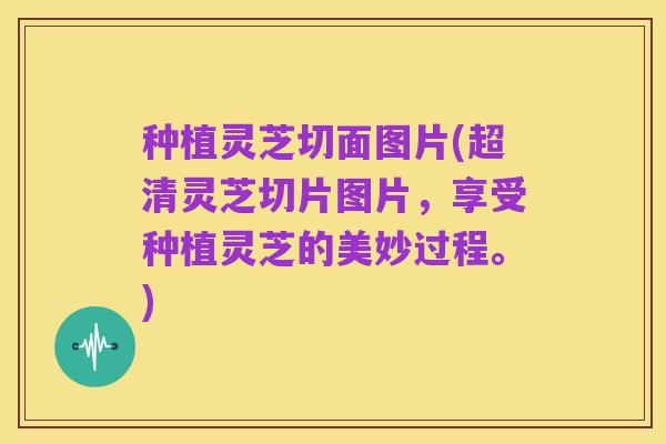 种植灵芝切面图片(超清灵芝切片图片，享受种植灵芝的美妙过程。)