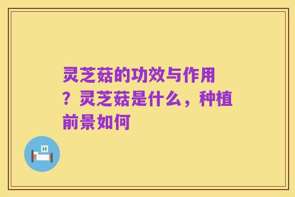 灵芝菇的功效与作用 ？灵芝菇是什么，种植前景如何