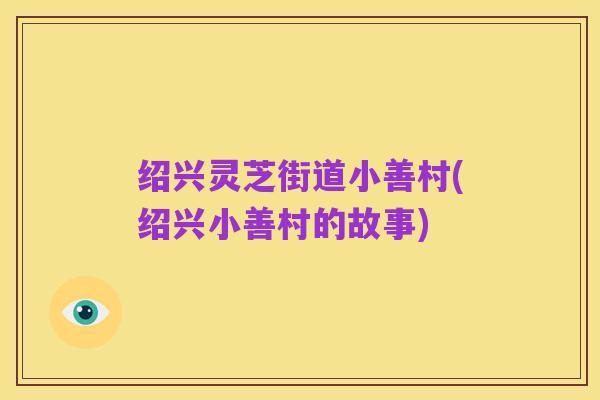 绍兴灵芝街道小善村(绍兴小善村的故事)