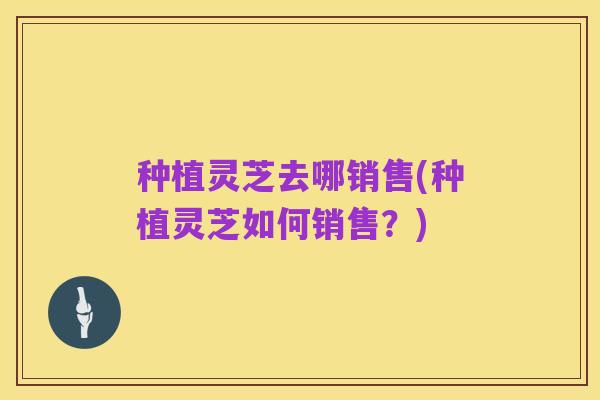 种植灵芝去哪销售(种植灵芝如何销售？)