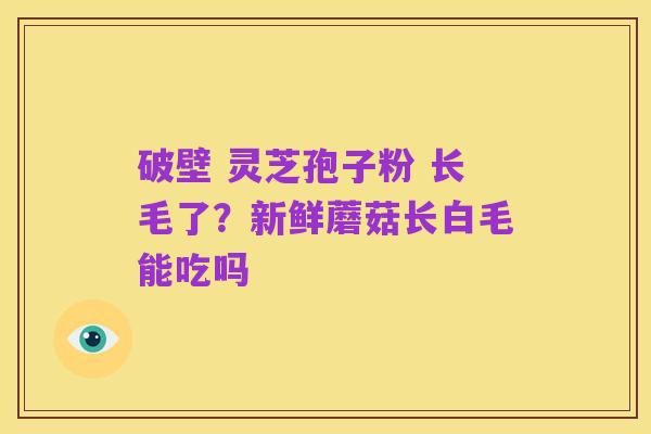 破壁 灵芝孢子粉 长毛了?新鲜蘑菇长白毛能吃吗