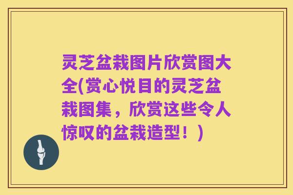 灵芝盆栽图片欣赏图大全(赏心悦目的灵芝盆栽图集,欣赏这些令人惊叹的盆栽造型!)