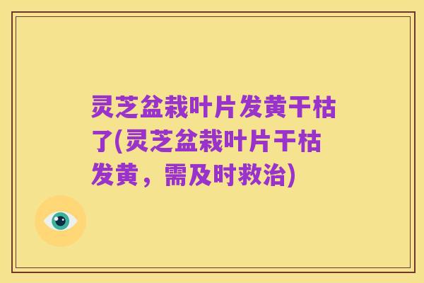 灵芝盆栽叶片发黄干枯了(灵芝盆栽叶片干枯发黄,需及时救治)