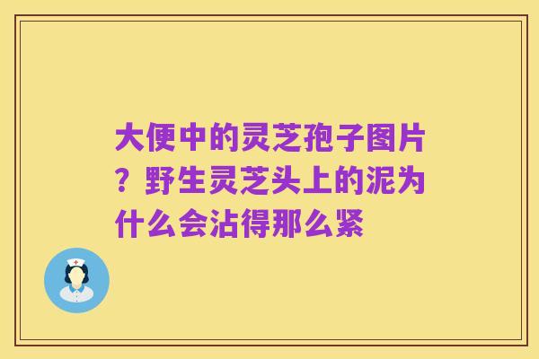大便中的灵芝孢子图片?野生灵芝头上的泥为什么会沾得那么紧