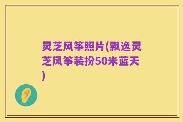 灵芝风筝照片(飘逸灵芝风筝装扮50米蓝天)