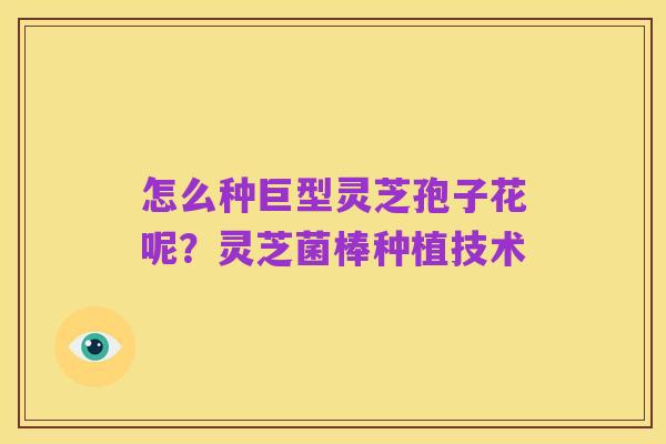 怎么种巨型灵芝孢子花呢?灵芝菌棒种植技术