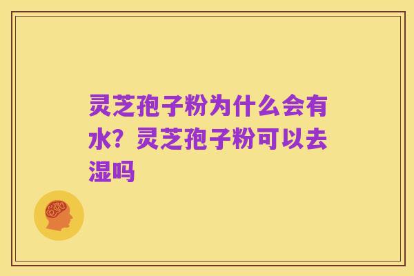灵芝孢子粉为什么会有水?灵芝孢子粉可以去湿吗