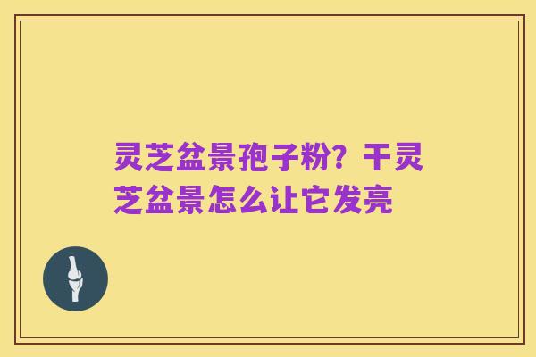 灵芝盆景孢子粉？干灵芝盆景怎么让它发亮