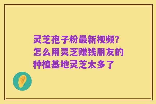 灵芝孢子粉最新视频?怎么用灵芝赚钱朋友的种植基地灵芝太多了