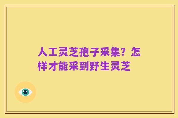 人工灵芝孢子采集?怎样才能采到野生灵芝