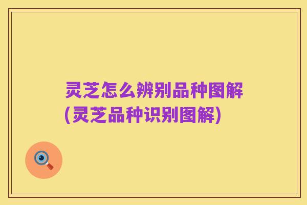 灵芝怎么辨别品种图解(灵芝品种识别图解)