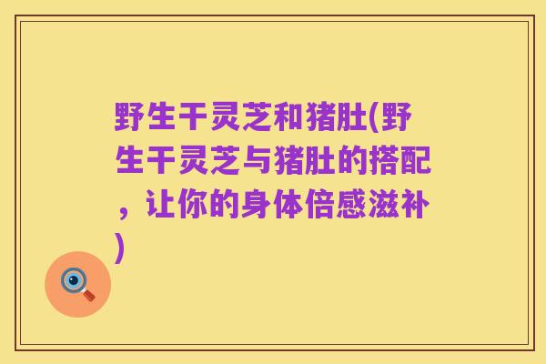 野生干灵芝和猪肚(野生干灵芝与猪肚的搭配,让你的身体倍感滋补)
