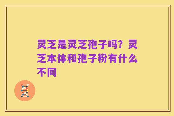 灵芝是灵芝孢子吗？灵芝本体和孢子粉有什么不同