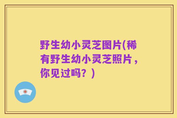野生幼小灵芝图片(稀有野生幼小灵芝照片，你见过吗？)