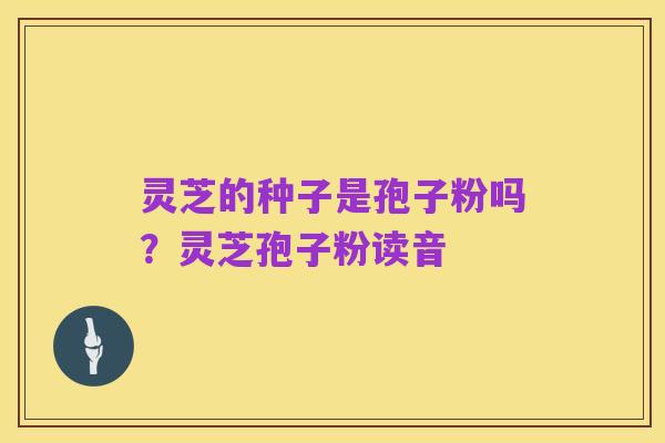 灵芝的种子是孢子粉吗?灵芝孢子粉读音