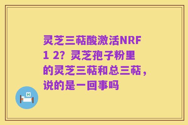 灵芝三萜酸激活NRF1 2?灵芝孢子粉里的灵芝三萜和总三萜,说的是一回事吗