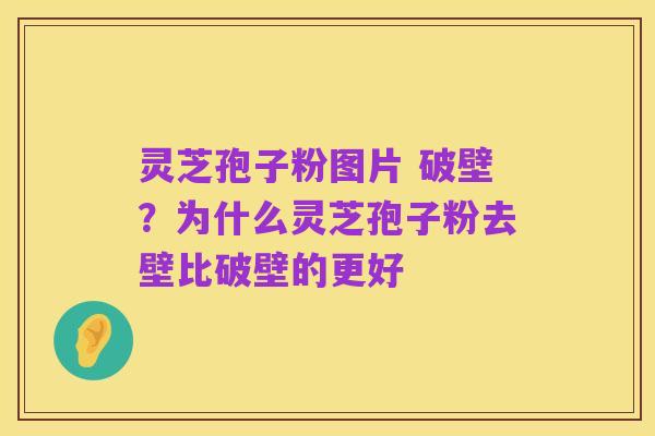 灵芝孢子粉图片 破壁?为什么灵芝孢子粉去壁比破壁的更好