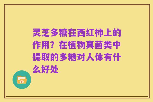 灵芝多糖在西红柿上的作用?在植物真菌类中提取的多糖对人体有什么好处