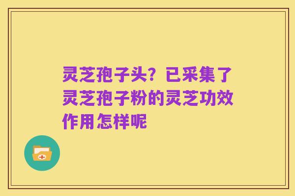 灵芝孢子头？已采集了灵芝孢子粉的灵芝功效作用怎样呢