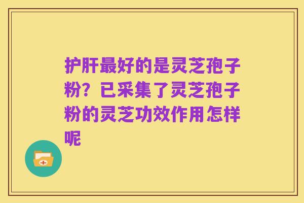 护肝最好的是灵芝孢子粉?已采集了灵芝孢子粉的灵芝功效作用怎样呢
