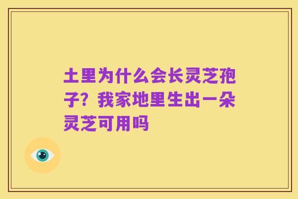 土里为什么会长灵芝孢子？我家地里生出一朵灵芝可用吗
