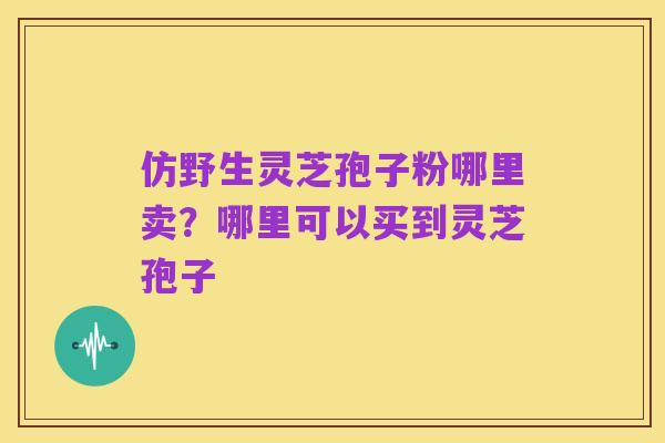 仿野生灵芝孢子粉哪里卖?哪里可以买到灵芝孢子
