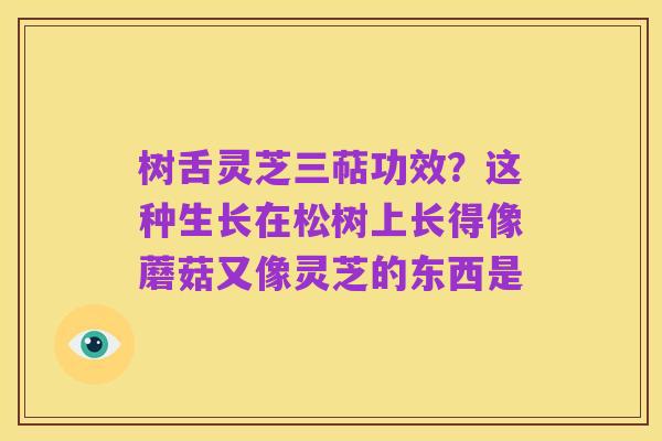 树舌灵芝三萜功效？这种生长在松树上长得像蘑菇又像灵芝的东西是