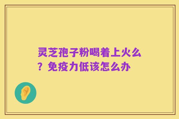 灵芝孢子粉喝着上火么?免疫力低该怎么办