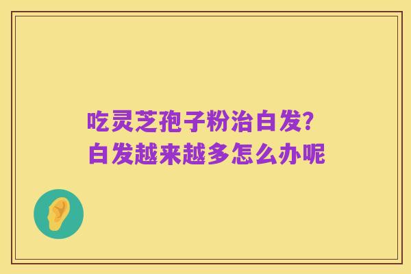 吃灵芝孢子粉治白发?白发越来越多怎么办呢