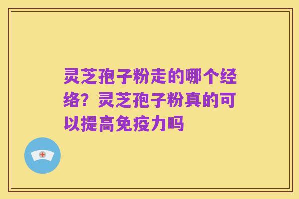 灵芝孢子粉走的哪个经络?灵芝孢子粉真的可以提高免疫力吗