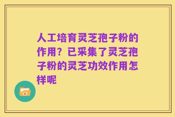 人工培育灵芝孢子粉的作用?已采集了灵芝孢子粉的灵芝功效作用怎样呢