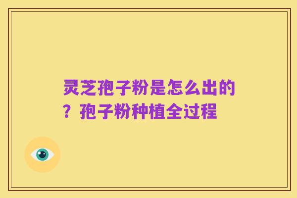 灵芝孢子粉是怎么出的？孢子粉种植全过程