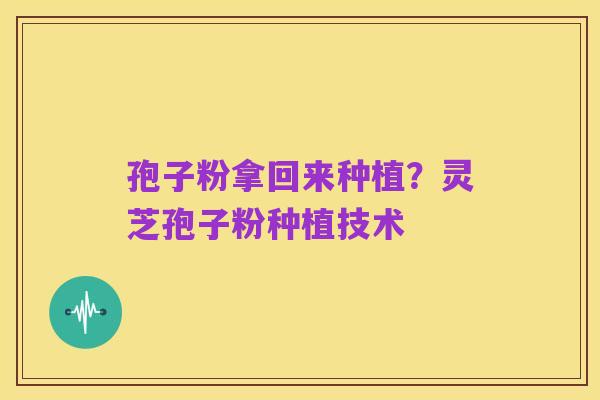 孢子粉拿回来种植？灵芝孢子粉种植技术