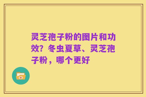 灵芝孢子粉的图片和功效?冬虫夏草、灵芝孢子粉,哪个更好