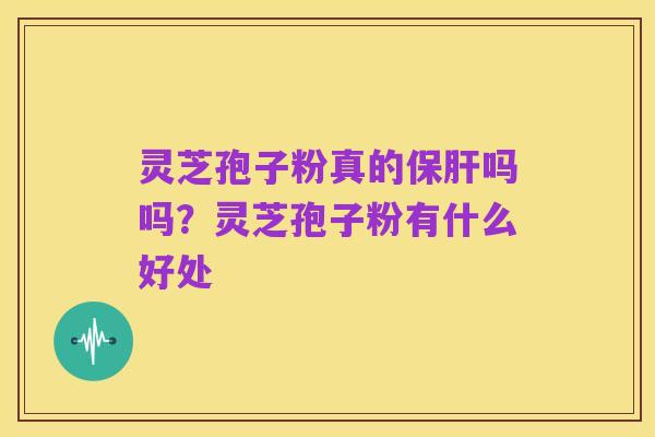 灵芝孢子粉真的保肝吗吗?灵芝孢子粉有什么好处