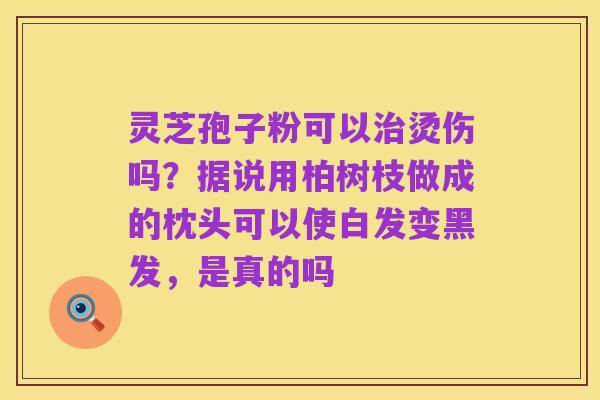 灵芝孢子粉可以治烫伤吗？据说用柏树枝做成的枕头可以使白发变黑发，是真的吗