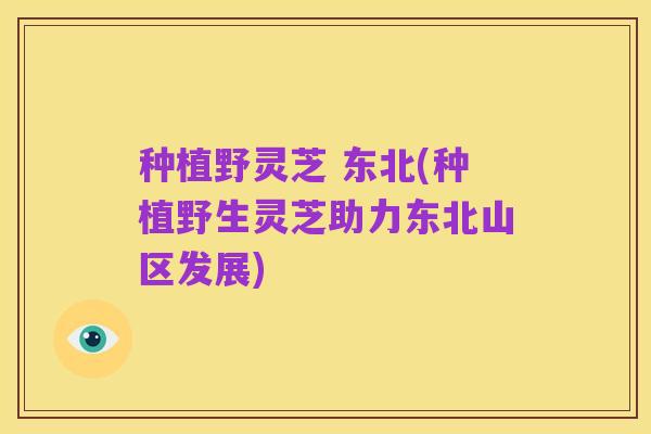种植野灵芝 东北(种植野生灵芝助力东北山区发展)