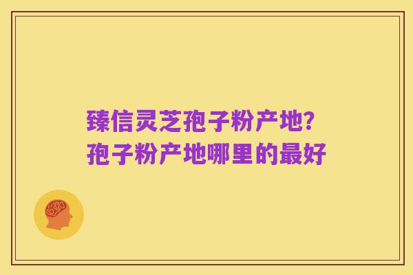 臻信灵芝孢子粉产地？孢子粉产地哪里的最好