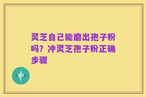 灵芝自己能磨出孢子粉吗?冲灵芝孢子粉正确步骤