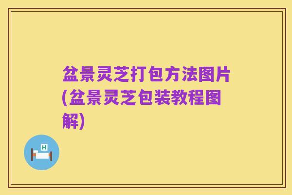 盆景灵芝打包方法图片(盆景灵芝包装教程图解)