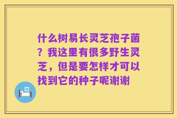 什么树易长灵芝孢子菌？我这里有很多野生灵芝，但是要怎样才可以找到它的种子呢谢谢